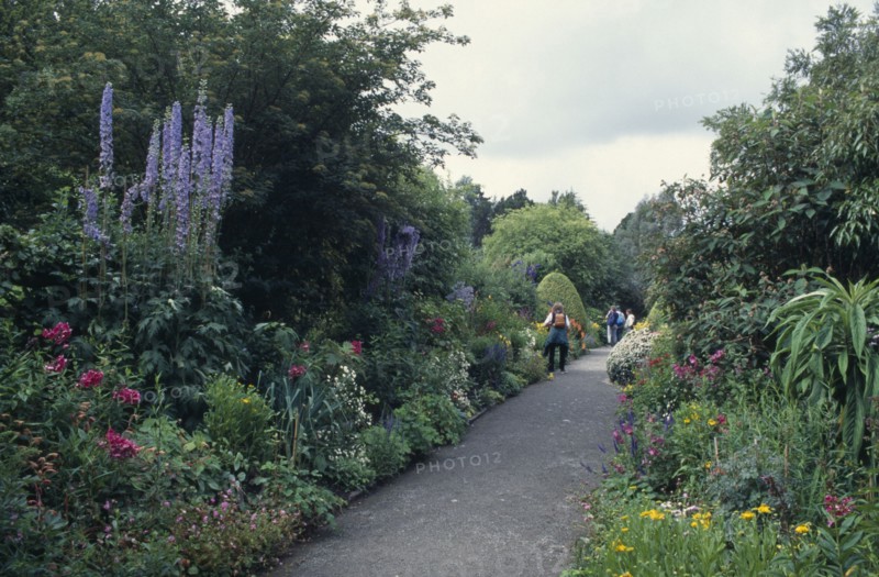 IRELAND, County Cork, Bantry Bay, Pathway leading along herbaceous borders of gardens
