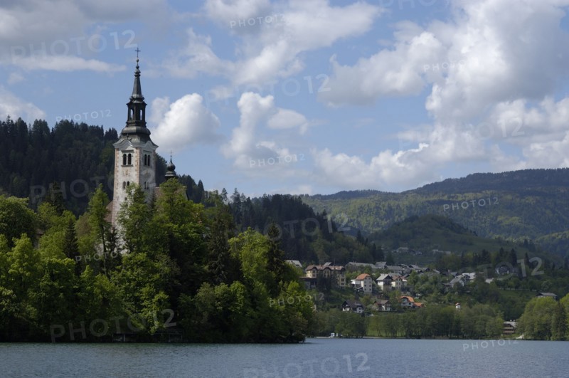 SLOVENIA, Lake Bled, View over the lake toward Bled Island with the tower of the Church of the Assumption visible above the trees