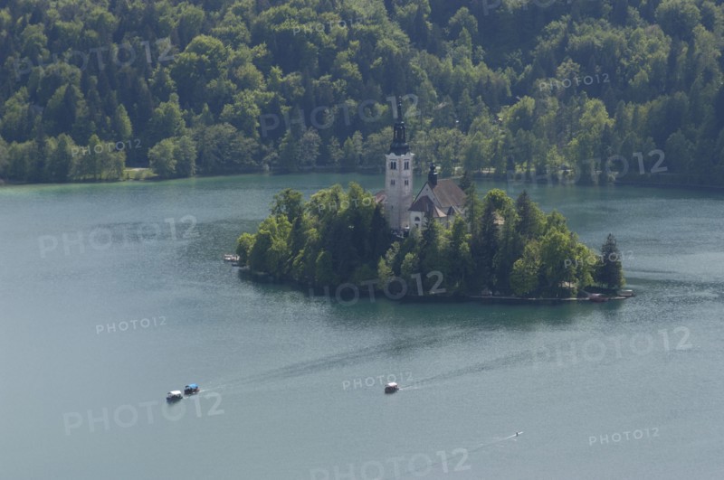 SLOVENIA, Lake Bled, Bled Island seen from the ramparts of the castle with traditional gondolas or rowing boats taking visitors across the lake