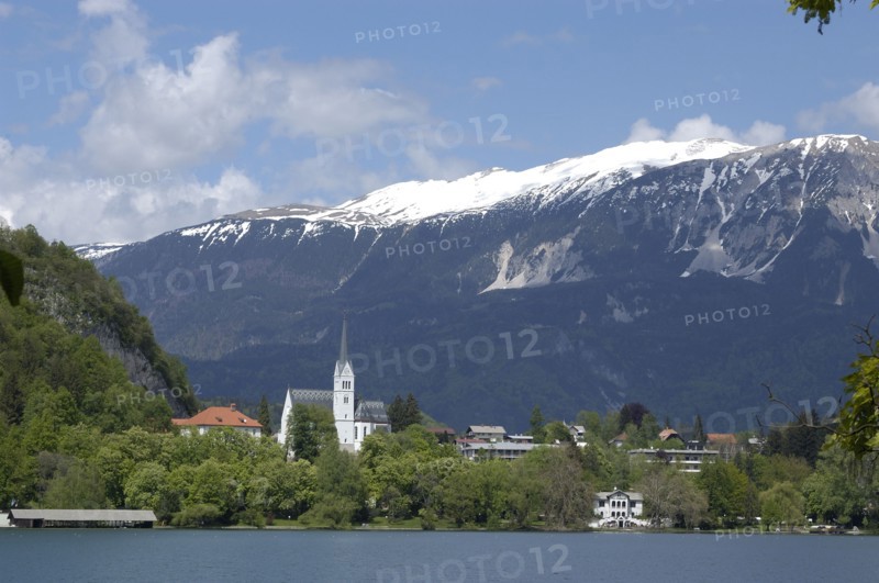SLOVENIA, Lake Bled, Pristiva. View from the lake toward the Church of St Martin with snow capped peaks behind