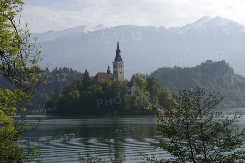 SLOVENIA, Lake Bled, Bled Island and tower of the Church of the Assumption