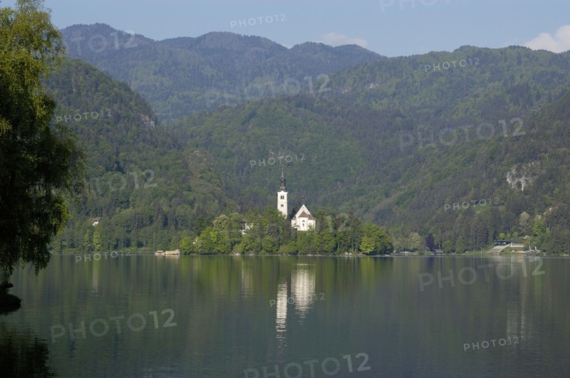 SLOVENIA, Lake Bled, View over the lake toward Bled Island and tower of the Church of the Assumption