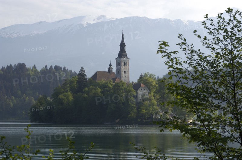 SLOVENIA, Lake Bled, View over the lake toward Bled Island and tower of the Church of the Assumption