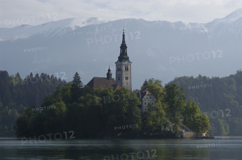 SLOVENIA, Lake Bled, View over the lake toward Bled Island and tower of the Church of the Assumption