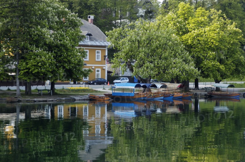 SLOVENIA, Lake Bled, Mlina. Gondolas moored at the lakeside