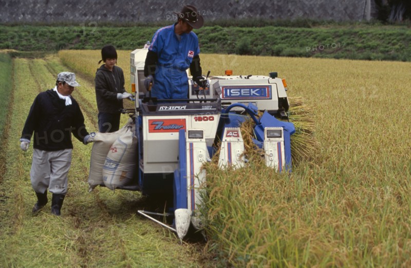 JAPAN, Honshu, Densho en, Farm workers harvesting rice field on motorised harvester