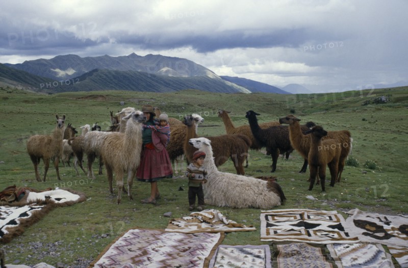 PERU, Cusco, Woman and children with llamas and Indian textiles spread out on grass in foreground.