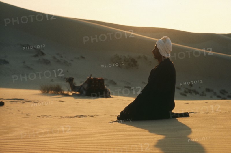 EGYPT, Religion, Muslim man praying in the desert with camel and sand dunes behind.