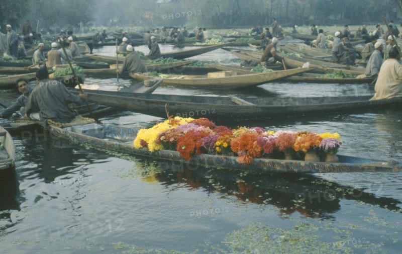 INDIA, Kashmir, Srinigar, Early morning market on Dal Lake with wooden canoe full of flowers in the foreground.