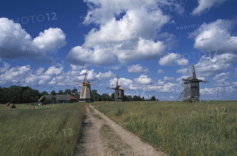 ESTONIA, Saaremaa Island, Dirt track leading to windmills in agricultural landscape with dramatic cloudscape above.