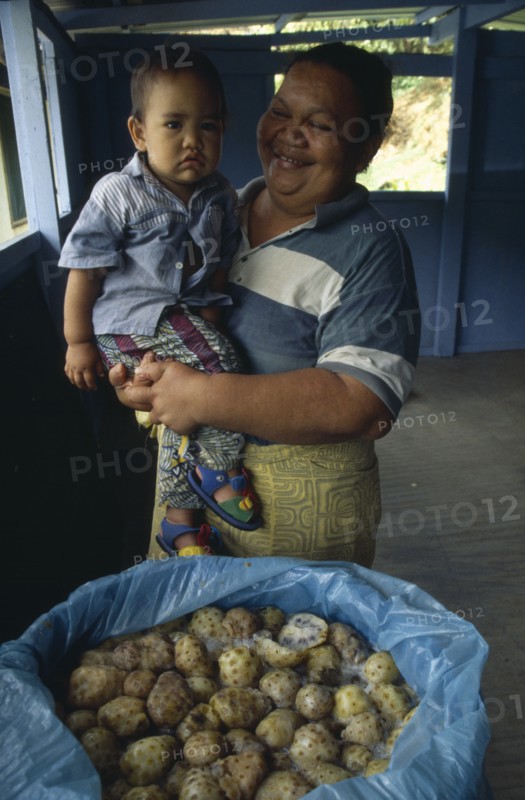 PACIFIC ISLANDS, Polynesia, French Polynesia, Marquesas Islands.  Taipivai Hiva.  Fermenting noni fruit with woman holding child behind.