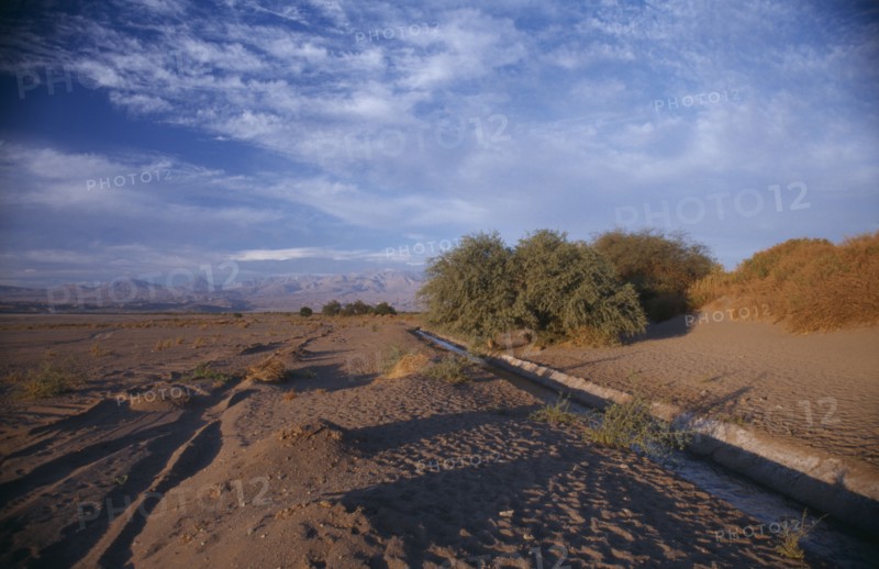 CHILE, Atacama Desert, Desert landscape and irrigation channel.
