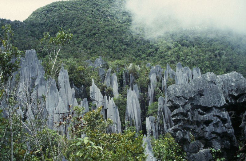 MALAYSIA, Sarawak, Gunung Mulu N. Park, Pinnacles limestone rock formation.