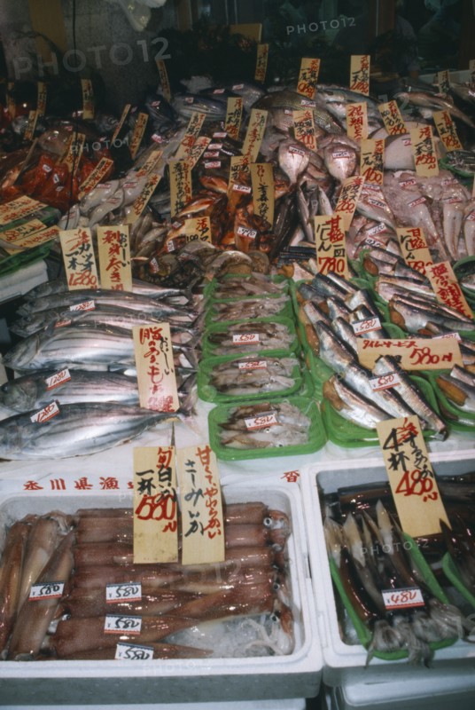 JAPAN, Honshu, Tokyo, Fish display in supermarket.
