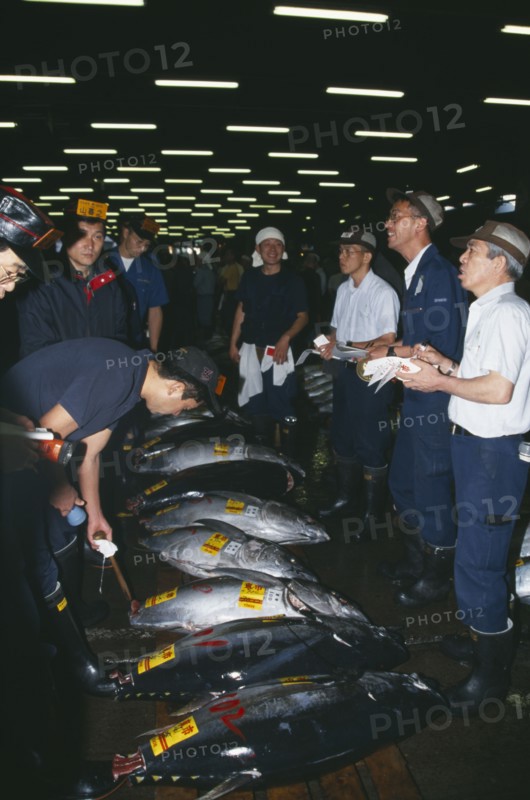 JAPAN, Honshu, Tokyo, Tsukiji Market.  Tuna fish for sale and buyers.