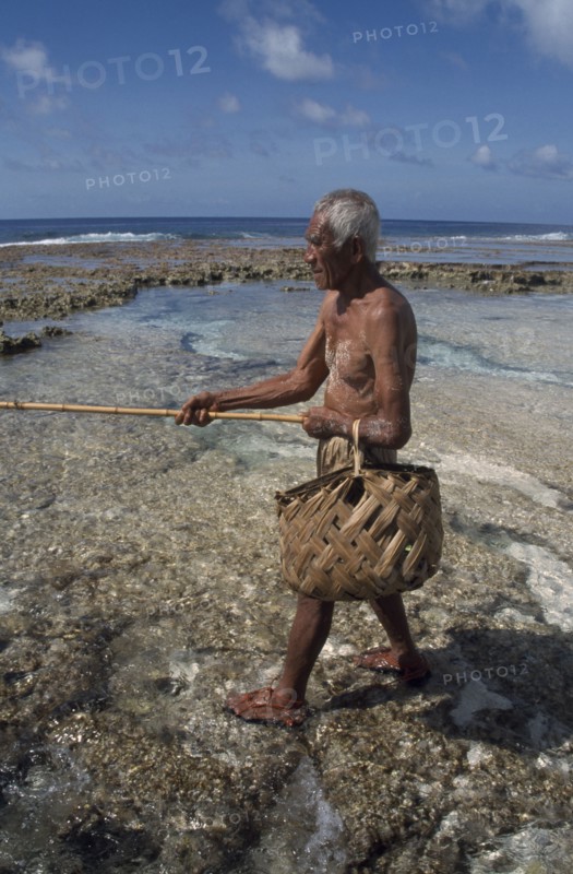 PACIFIC ISLANDS, Polynesia, Cook Islands, Atiu.  Lagoon fisherman with bamboo rod and woven basket.