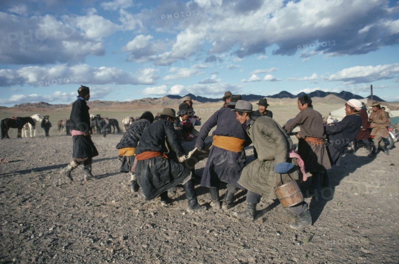 MONGOLIA, Southern Gobi, Men stretching felt for a yurt as part of a traditional wedding ceremony.