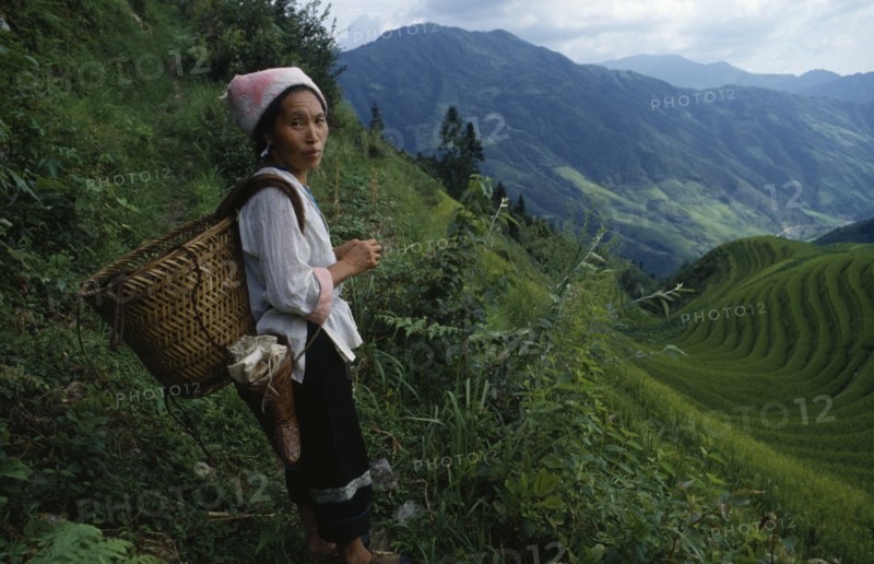 CHINA, Guangxi Province, Longsheng, Woman on steep pathway above rice terraces carrying woven basket on her back.