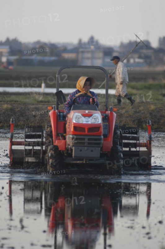 JAPAN, Chiba, Tako, "Mr. and Mrs. Katsumata, both over 70 years old, prepare rice field in spring, Mrs. Katsumata drives tractor"