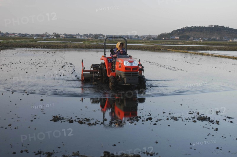 JAPAN, Chiba, Tako, "Mrs. Katsumata, over 70 years old, drives tractor preparing rice field in spring MR"