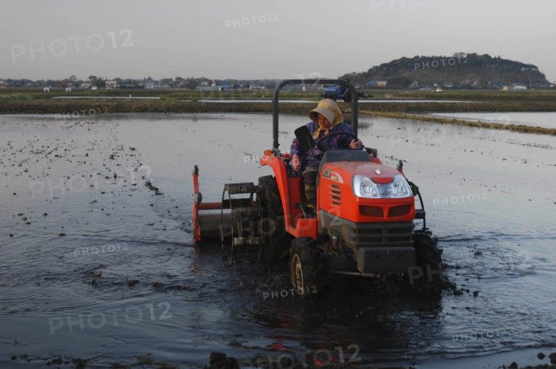 JAPAN, Chiba, Tako, "Mrs. Katsumata, over 70 years old, drives tractor preparing rice field in spring"