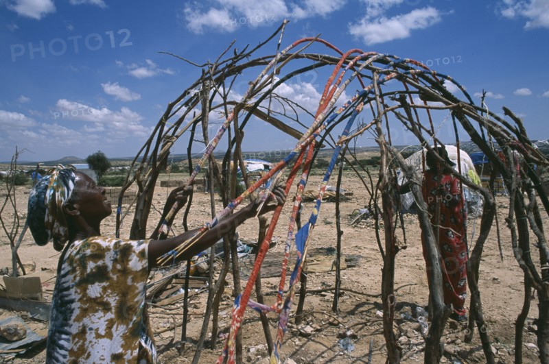 SOMALILAND, Hargeisa, Women building frame of traditional nomadic house in Kandahr IDP camp.