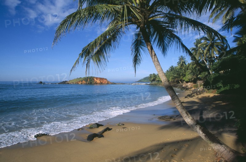SRI LANKA, Mirissa, View along sandy beach with overhanging palms and distant rocky outcrop