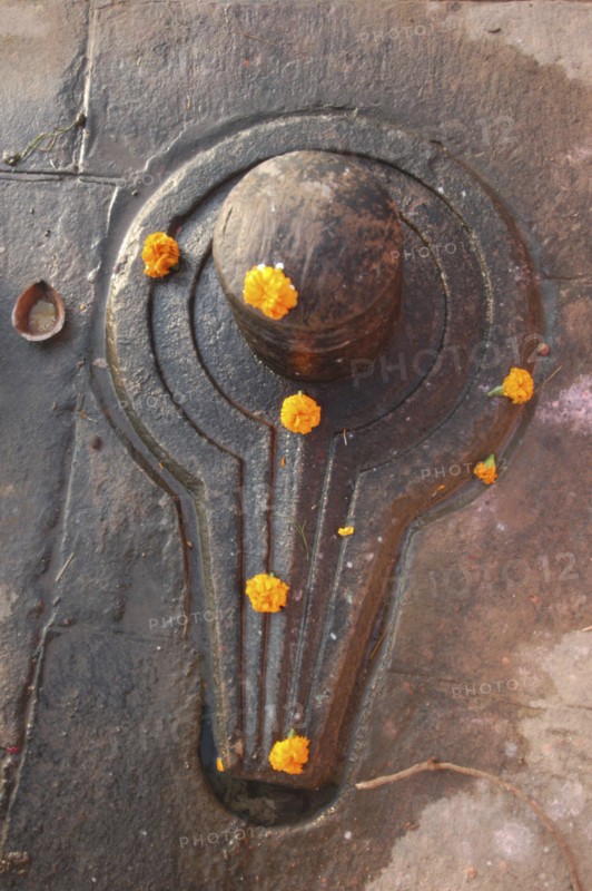 INDIA, Uttar Pradesh, Varanasi, Shiva lingam decorated with marigolds near Chauki Ghat