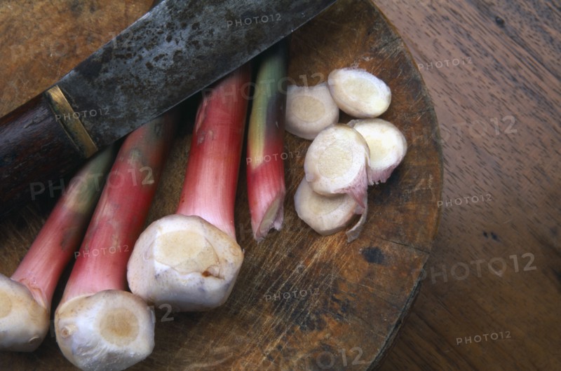 THAILAND, General, Galangal a golf club shaped ginger with sliced ends