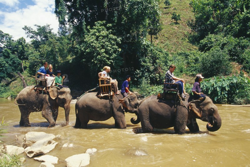 THAILAND, Chiang Mai Province, Western tourists riding elephants in the Mae Taeng River