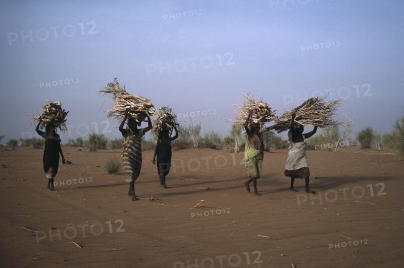 20064038 SUDAN  Work Women in desert area carrying bundles of firewood on their heads.