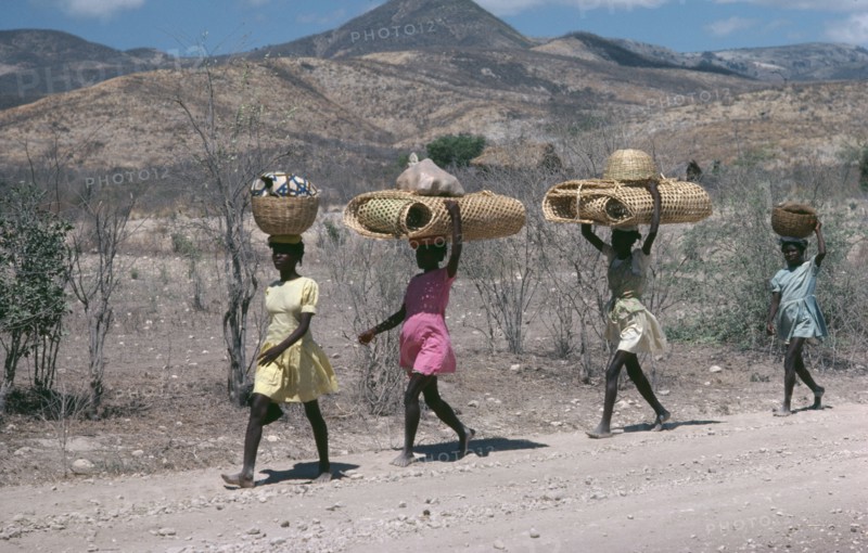 HAITI, Work, Line of girls carrying bags and baskets on their heads.