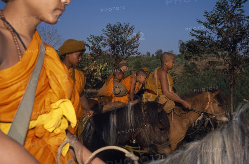 THAILAND, Wat Phra Acha Tong, Novice Buddhist monks from The Golden Horse Forest Monastery  riding out to collect alms and preach the evils of amphetamines or Ya Ba.