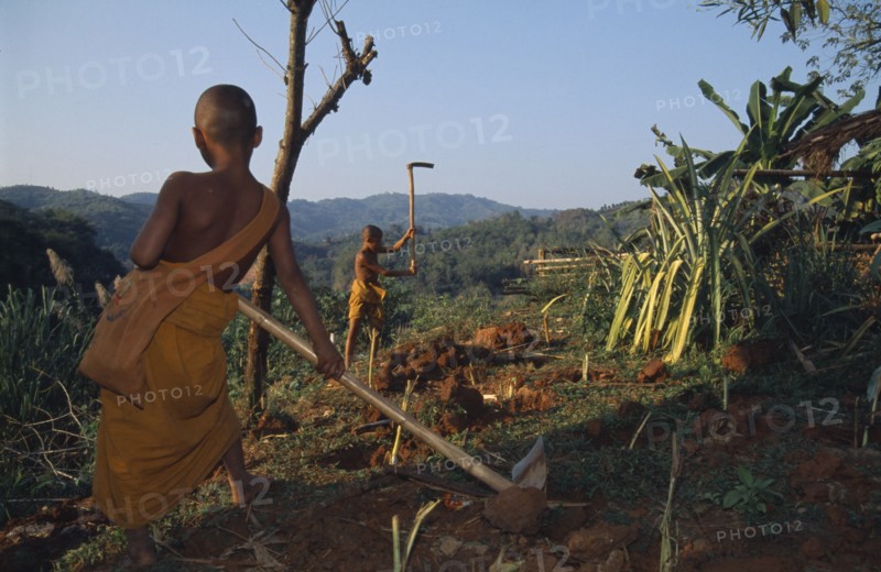 THAILAND, Wat Phra Acha Tong, Novice Buddhist monks from The Golden Horse Forest Monastery working on land breaking up soil.