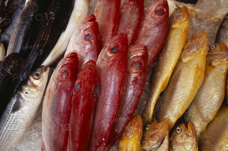 CHINA, Hong Kong, Wanchi market fish stall.