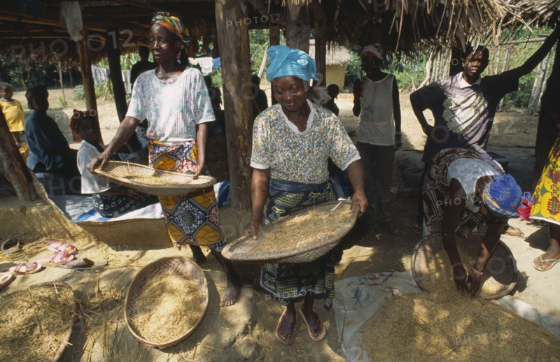 LIBERIA   , Margibi, Wohn, Women winnowing grain.