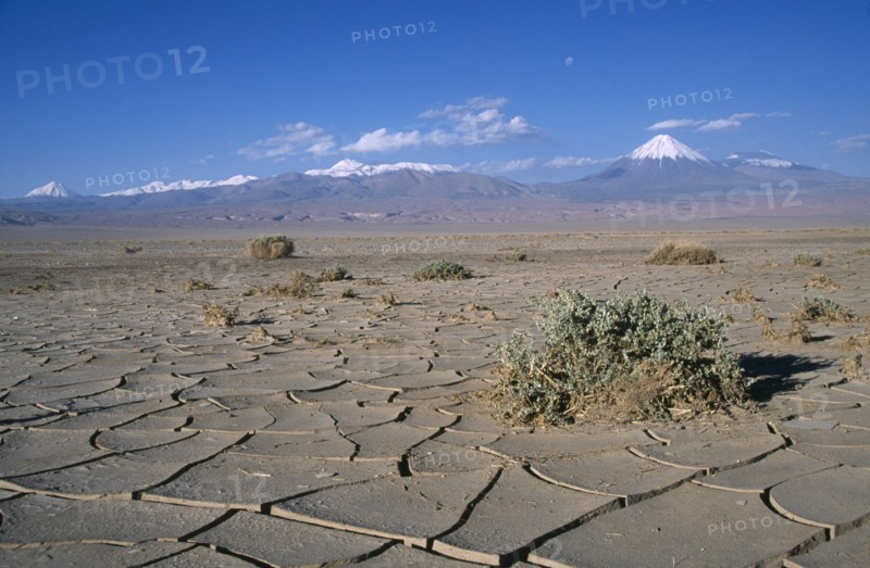 CHILE, Antofagasta, General, Cracked earth of desert surface near San Pedro de Atacama with snow capped peak of Volcano Lincancabur beyond.