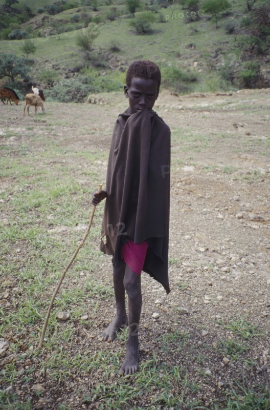 TANZANIA, Tribal People, Portrait of young Masai boy with goats grazing in the background.
