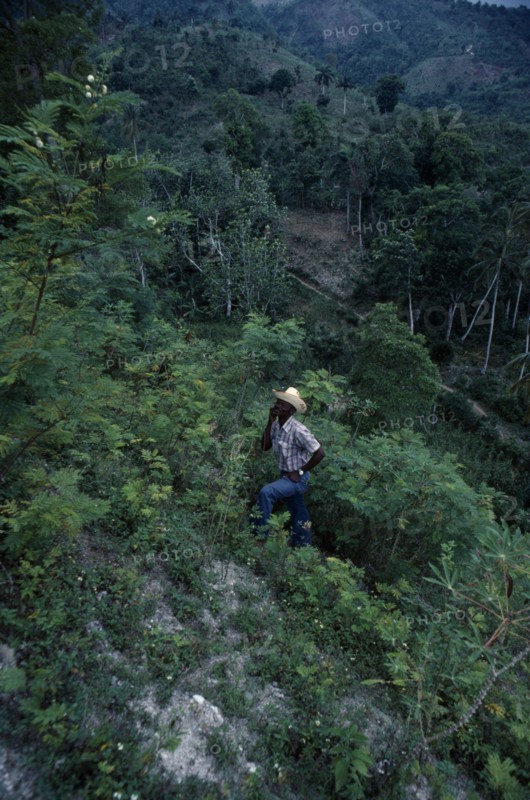 HAITI, Environment, Farmer in deforested hill region.