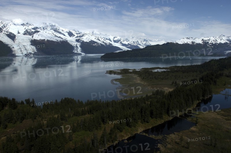 USA, Alaska, College Fjord, View over trees and calm waters of the bay toward snow capped mountain range