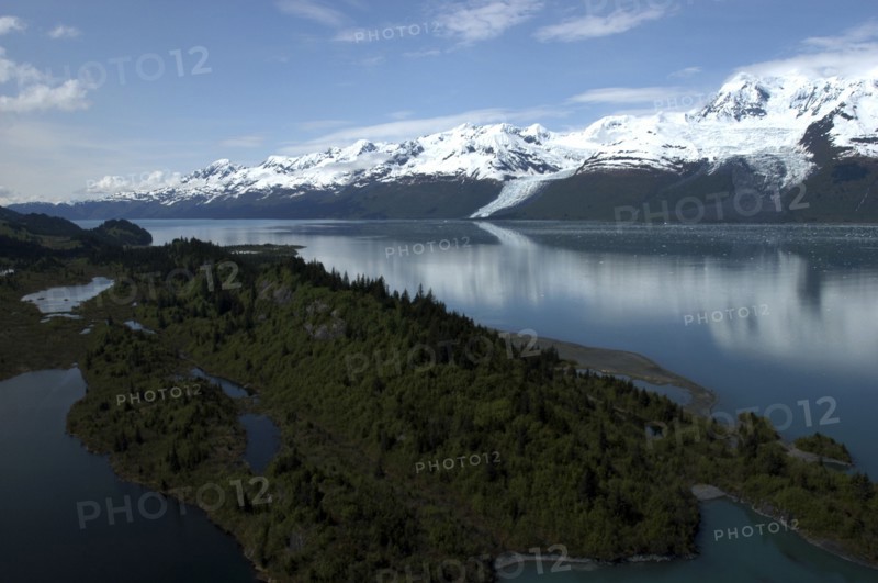 USA, Alaska, College Fjord, View over trees and calm waters of the bay toward snow capped mountain range