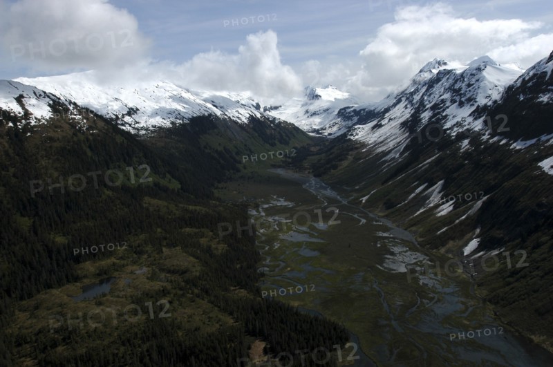 USA, Alaska, Prince William Sound, Mountainous tree covered valley with snow capped peaks