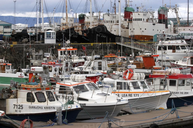 ICELAND, Reykjavik, Boats moored in the crowded port