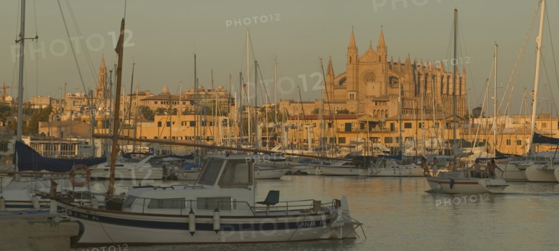SPAIN, Balearic Islands, Majorca, Evening view of the harbour in Palma de Mallorca with La Seo cathedral lit by the setting sun in the background.