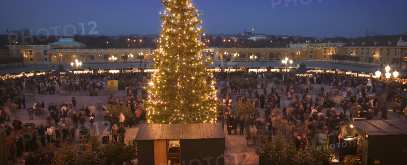 AUSTRIA, Vienna, The Schloss Schonbrunn Christmas Market with central Christmas Tree.