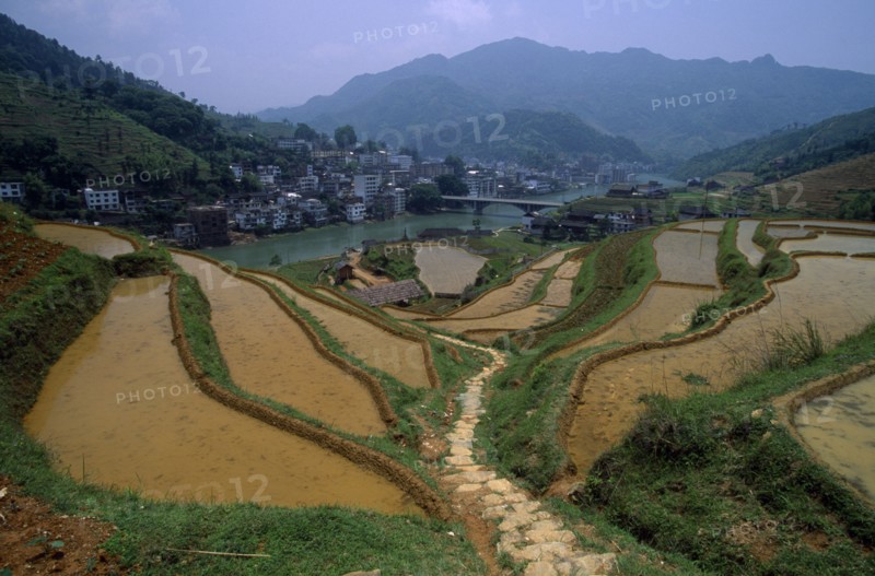 CHINA, Guangxi Province, Landscape, Terraced rice paddies near Longsheng in province known for its minority tribes and rice terraces.