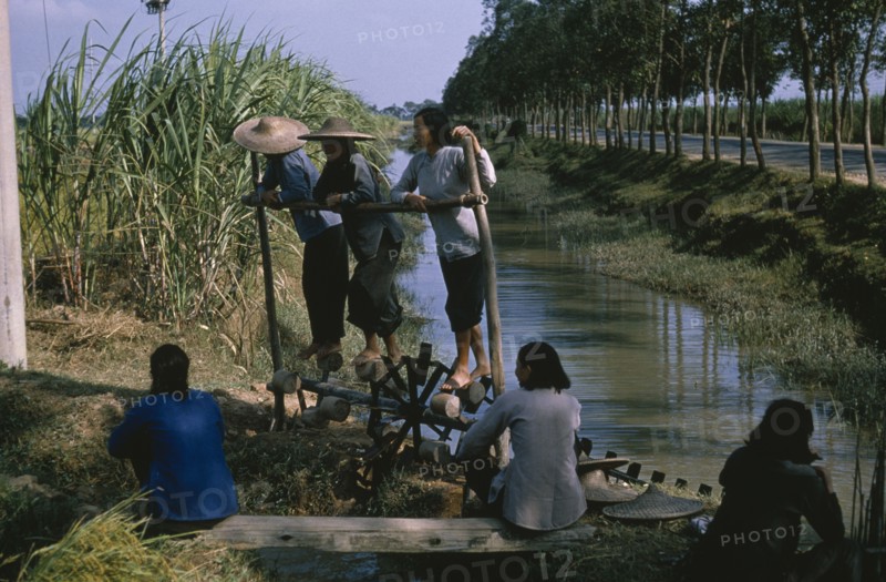CHINA, Water, Women on treadmill lifting water for irrigation of crops.  This type of treadmill is rarely used today.