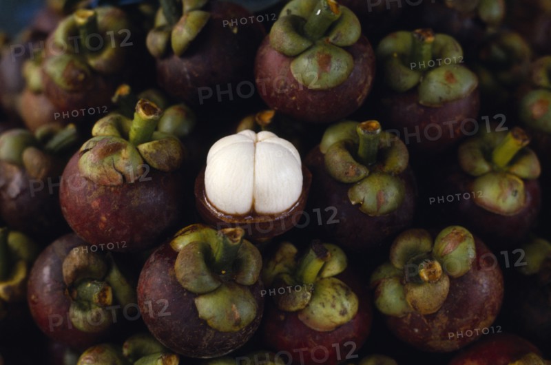 THAILAND, Bangkok, Mangosteens for sale at market.