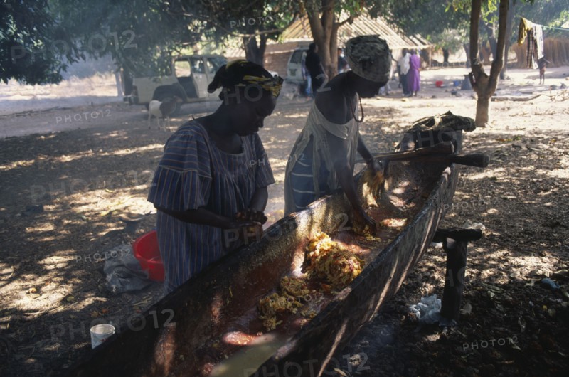 GUINEA BISSAU, Food & Drink, Women crushing cashew fruit to release juice used to make alcohol.