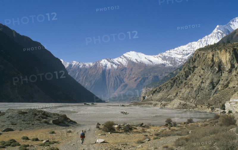 NEPAL, Annapurna Region, Kali Gandaki Gorge, Trekking through deep gorge formed by the Kali Gandaki River.